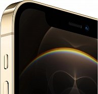 Смартфон Apple iPhone 12 Pro 256GB Gold, Grade B, 2BMGMR3, Б/У 2BMGMR3