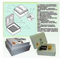 Инкубатор Несушка  на 77 яиц  63ВГ (автомат, цифровое табло, вентиляторы, 220+12В) + Гигрометр