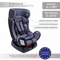 Автокресло Amarobaby Professional / AB212005PSCh/11 (серый/черный)