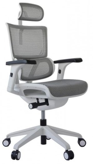 

Кресло Ergostyle VISION VIM02 (T-06 White), VISION VIM02 (T-06 White)