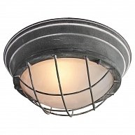 Светильник потолочный Lussole LOFT GRLSP-9881 серый GRLSP-9881
