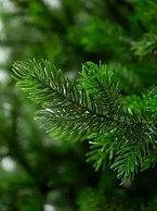 Ель искуственная National Tree Company Грация Премиум ГР/ПР-210 (210см, 3D)