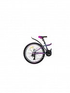 Велосипед AIST Rocky Junior 2.1 24 2023 (серый)