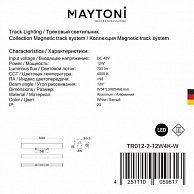 Светильник Maytoni TR012-2-12W4K-W