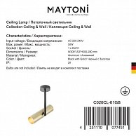 Светильник потолочный Maytoni C020CL-01GB