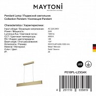 Светильник Maytoni P010PL-L23G4K