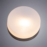 Светильник потолочный Arte Lamp A6047PL-1AB
