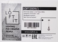 Светильник Loft it LOFT2009/1