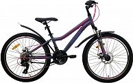 Велосипед AIST Rosy Junior 2.1/24/ серый/2022