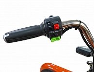 Электротрицикл Smart8 грузовой BULBASH BISON Сине-красный