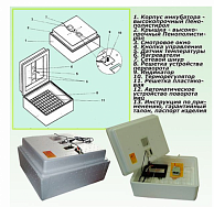 Инкубатор Несушка 77 -ЭА+12В н/н (63)