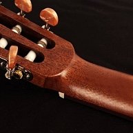 Гитара акустическая Cort  АС-100 OP