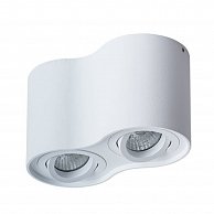 Светильник потолочный Arte Lamp A5645PL-2WH